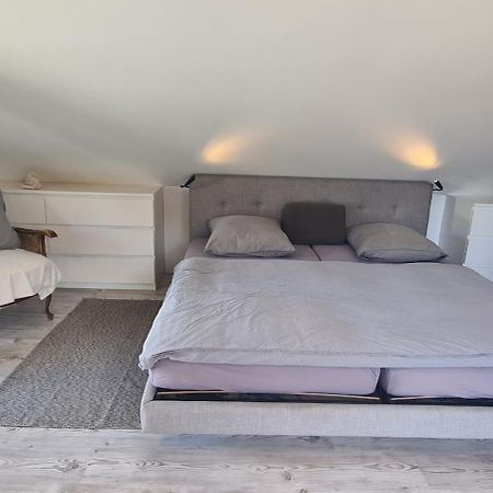Piti'S Gaestehaus, Kehl Neben Strasbourg 外观 照片